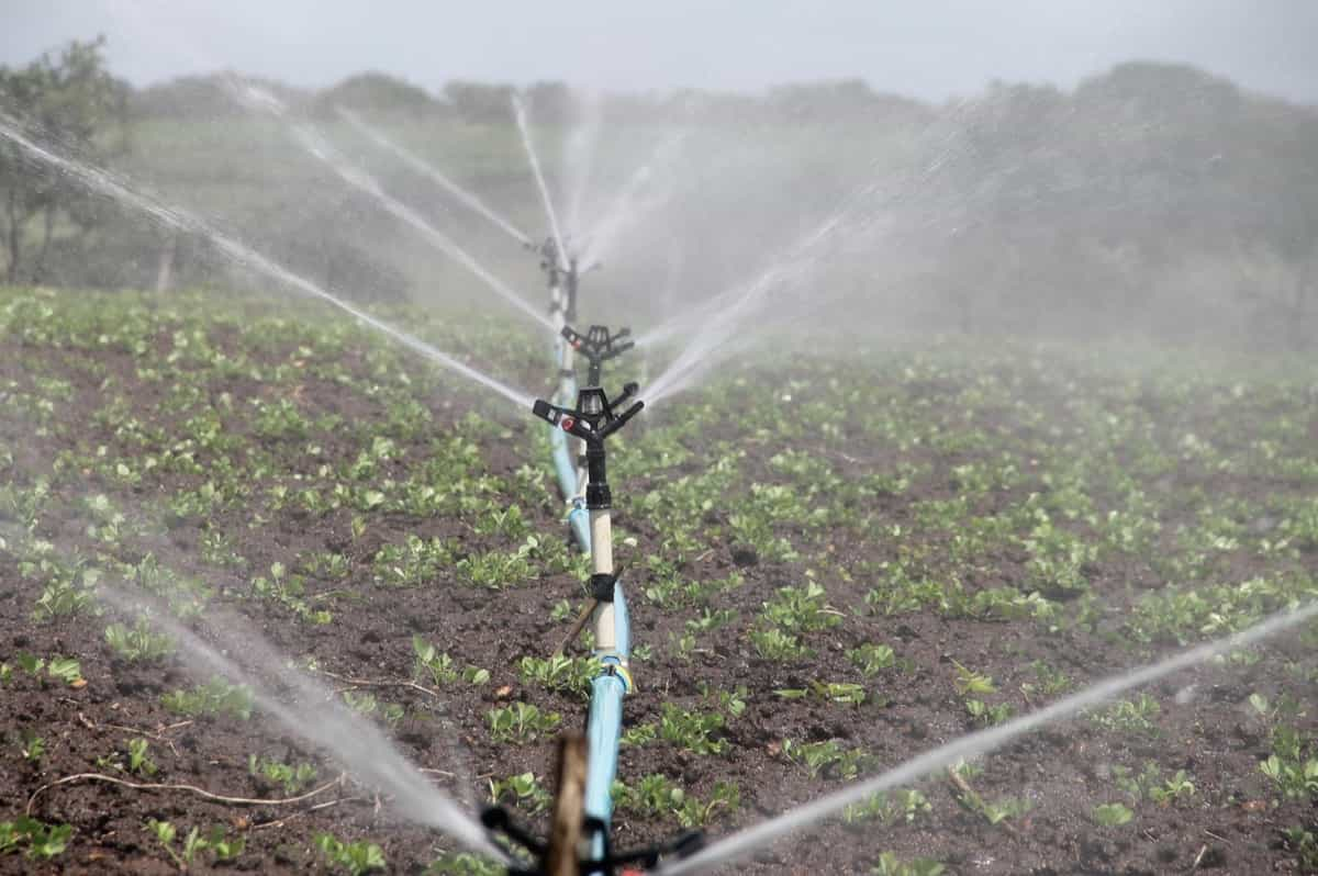 Optimizing Irrigation System Maintenance