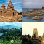 Choosing the Best Wildlife Parks in Tamil Nadu for Nature Enthusiasts