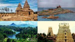 Choosing the Best Wildlife Parks in Tamil Nadu for Nature Enthusiasts